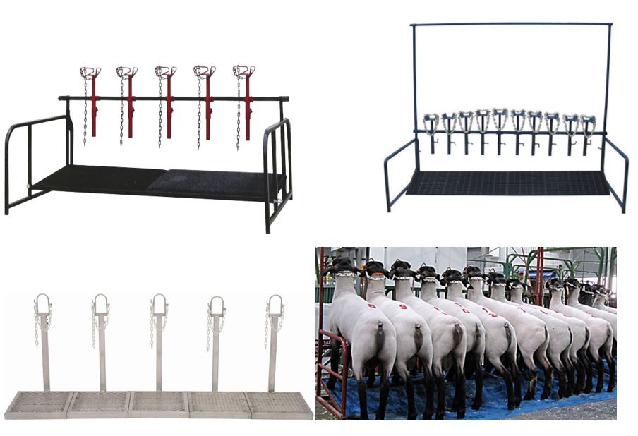 Goats - Grooming - Selecting the Right Grooming Stand - 5 Club Stands