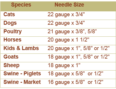 needle size chart